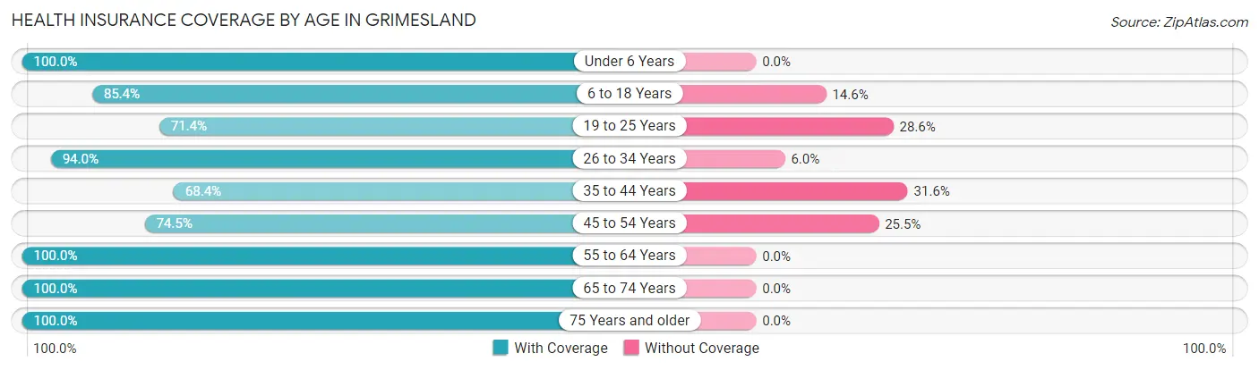 Health Insurance Coverage by Age in Grimesland