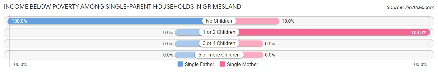 Income Below Poverty Among Single-Parent Households in Grimesland