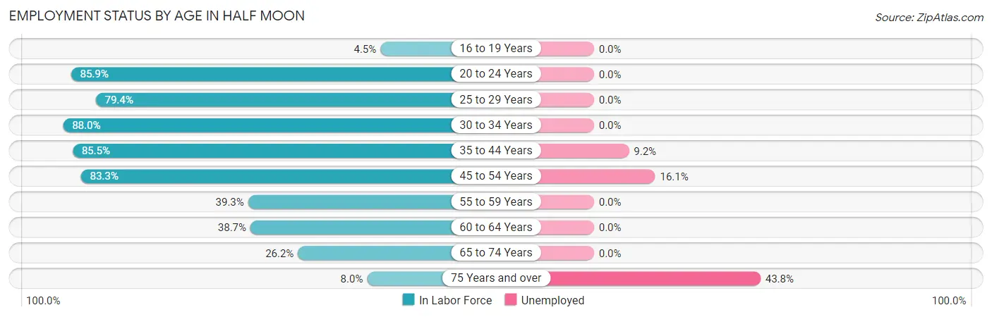 Employment Status by Age in Half Moon