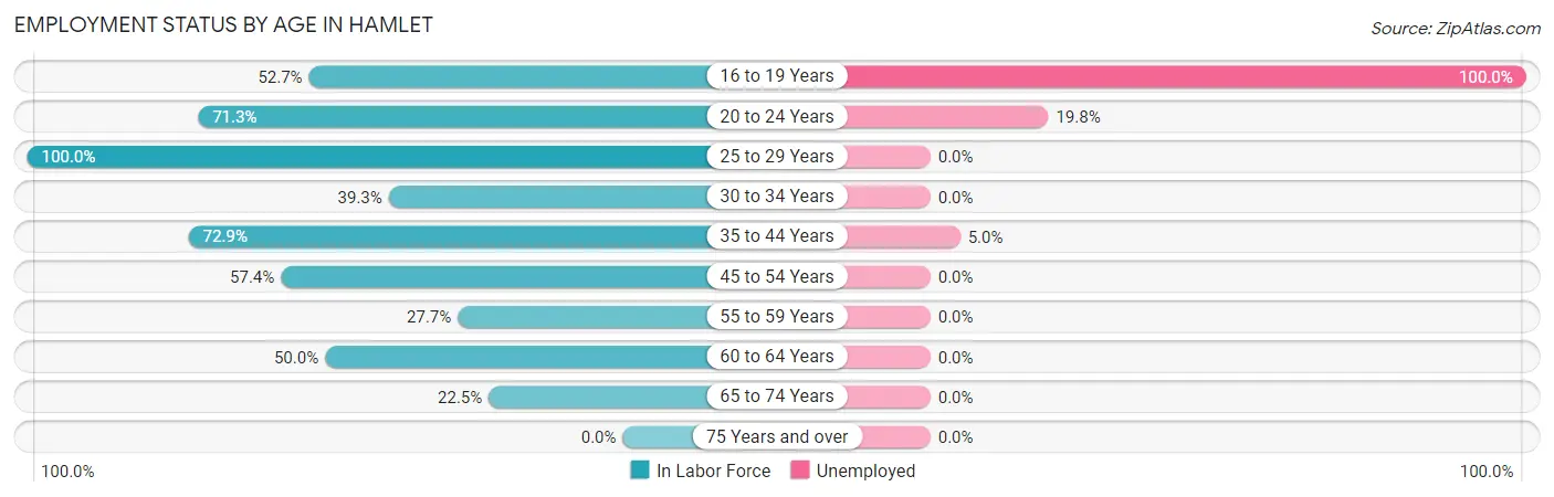 Employment Status by Age in Hamlet