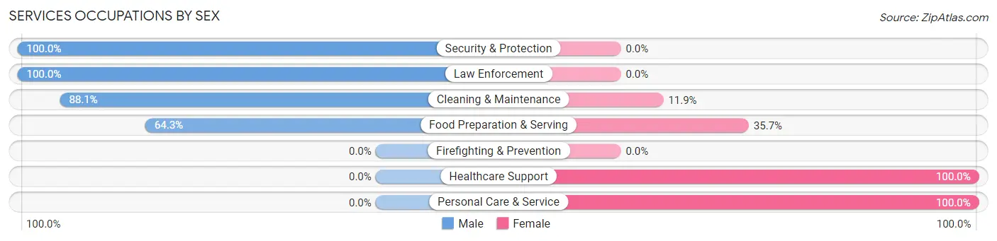 Services Occupations by Sex in Hampstead