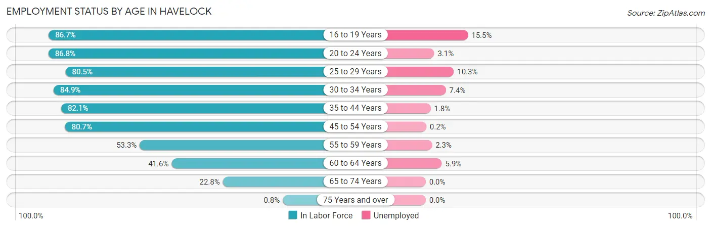 Employment Status by Age in Havelock