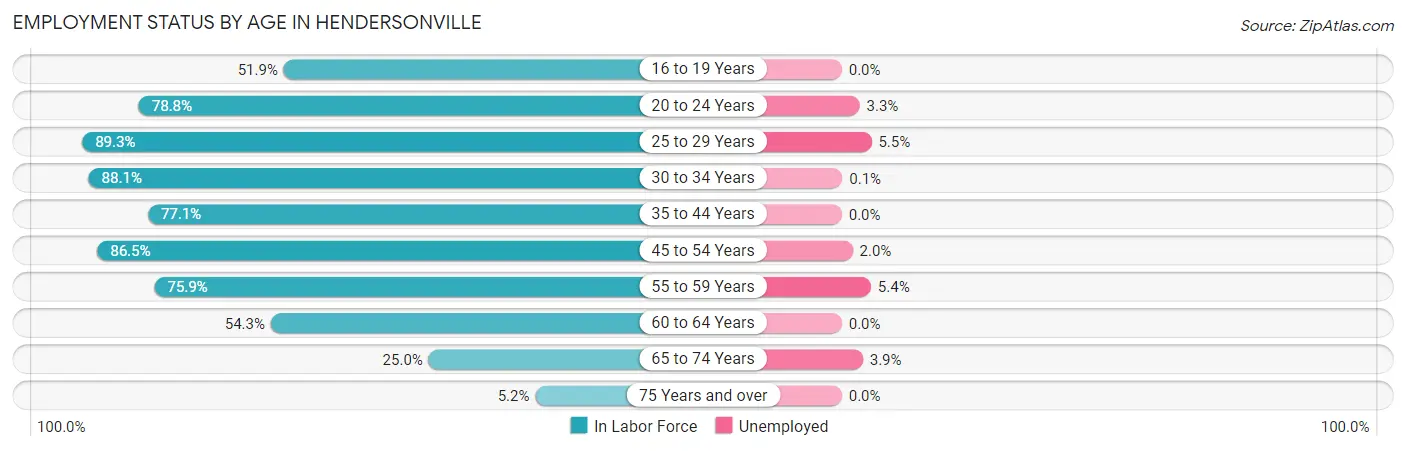Employment Status by Age in Hendersonville