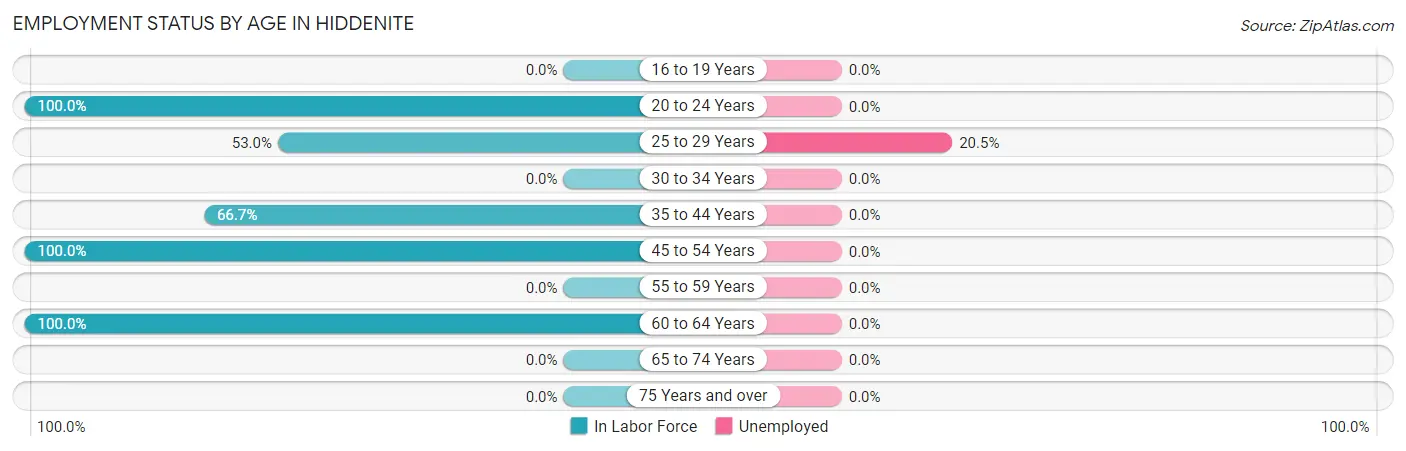 Employment Status by Age in Hiddenite