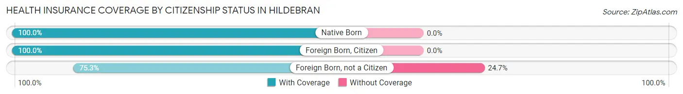 Health Insurance Coverage by Citizenship Status in Hildebran