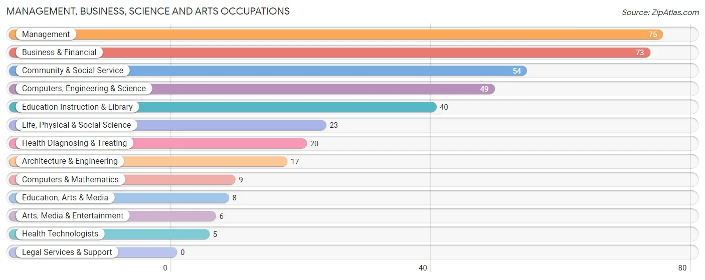 Management, Business, Science and Arts Occupations in Hildebran