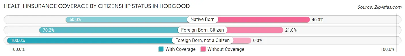 Health Insurance Coverage by Citizenship Status in Hobgood