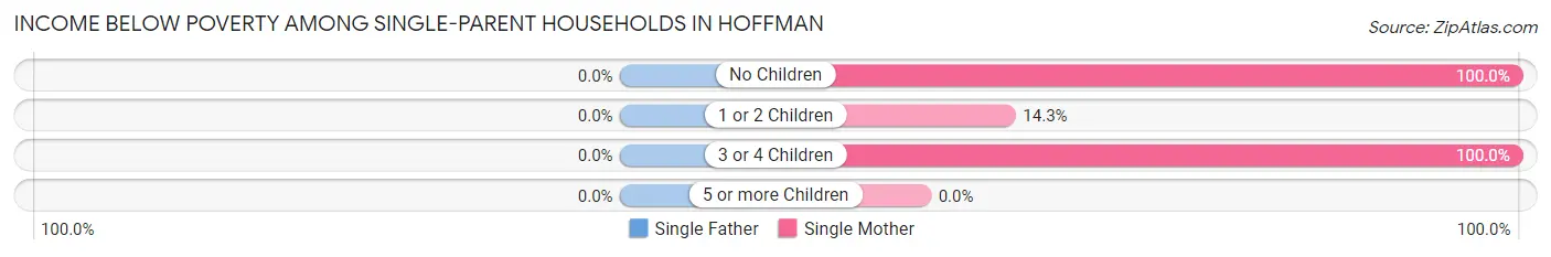 Income Below Poverty Among Single-Parent Households in Hoffman