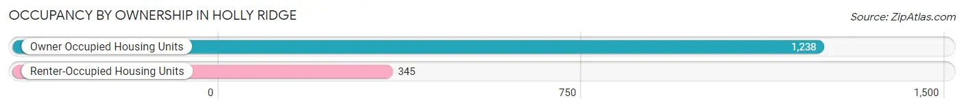Occupancy by Ownership in Holly Ridge