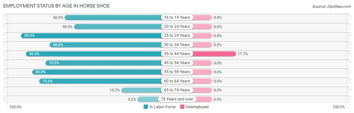 Employment Status by Age in Horse Shoe