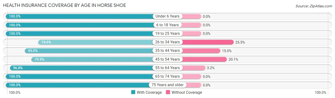 Health Insurance Coverage by Age in Horse Shoe