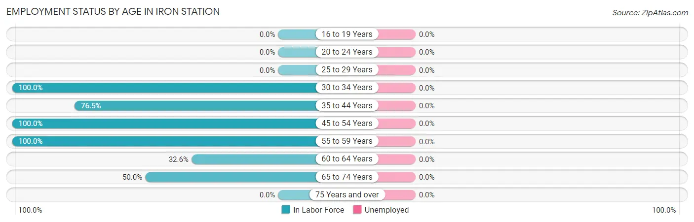 Employment Status by Age in Iron Station