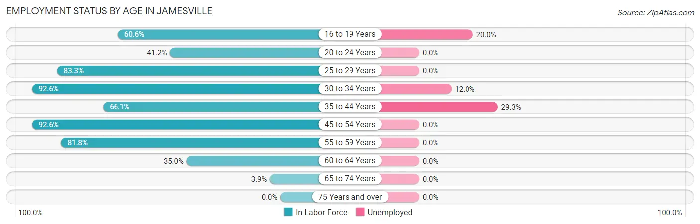 Employment Status by Age in Jamesville