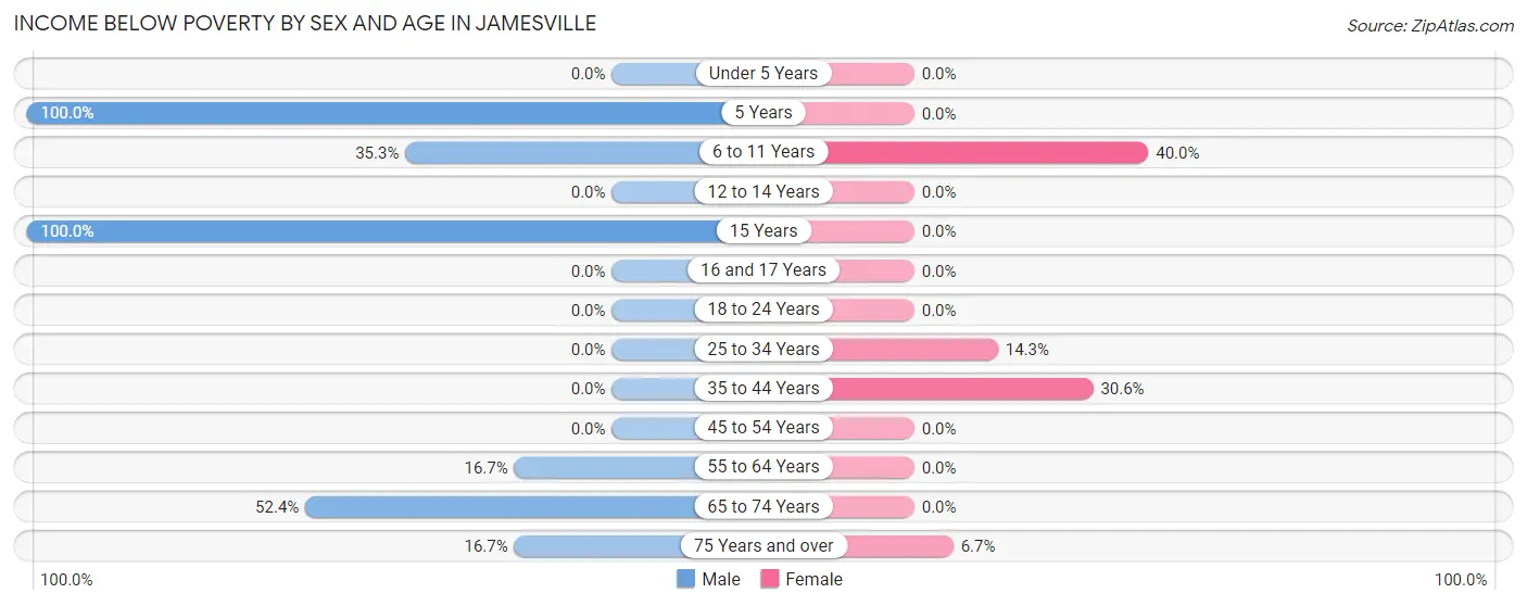 Income Below Poverty by Sex and Age in Jamesville