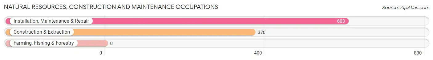 Natural Resources, Construction and Maintenance Occupations in Kings Grant