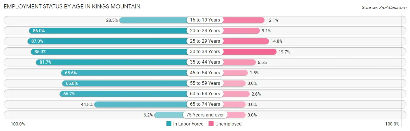 Employment Status by Age in Kings Mountain