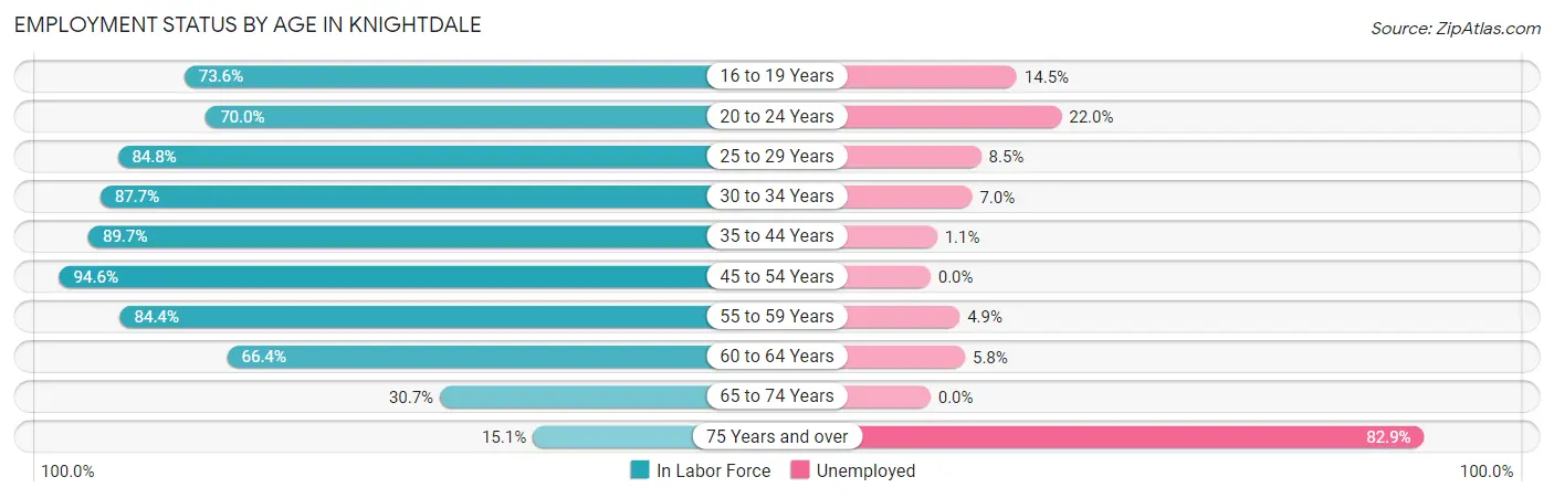 Employment Status by Age in Knightdale
