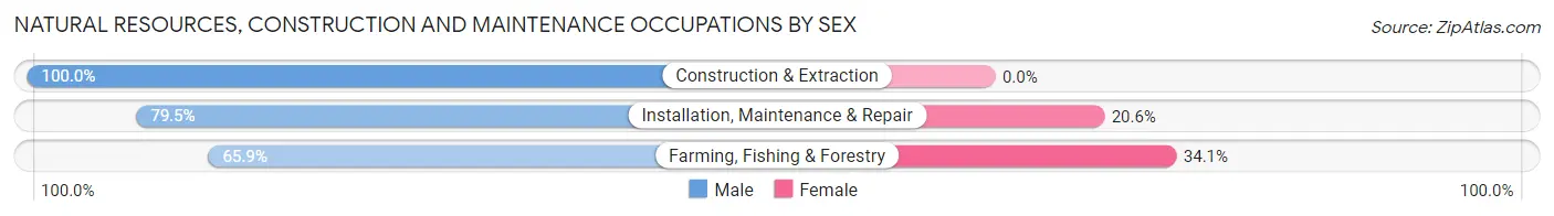 Natural Resources, Construction and Maintenance Occupations by Sex in Knightdale