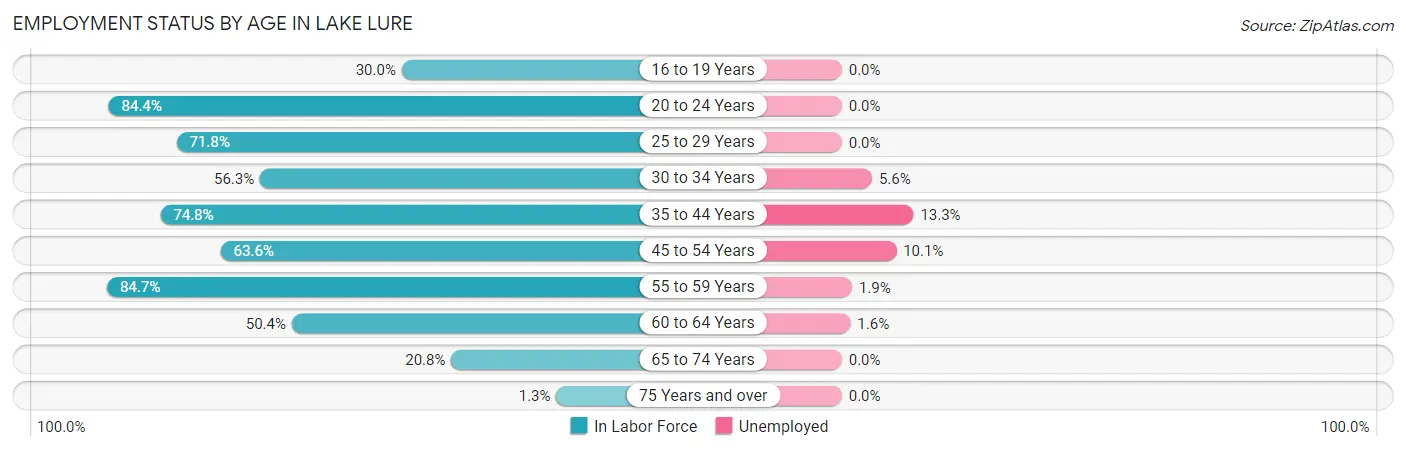 Employment Status by Age in Lake Lure