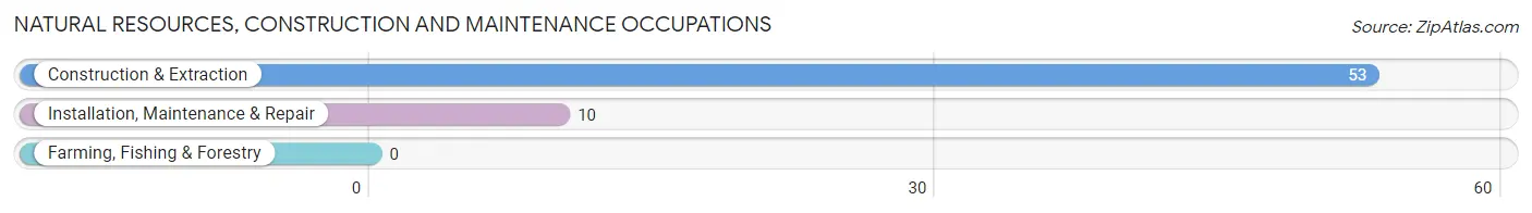 Natural Resources, Construction and Maintenance Occupations in Lake Park