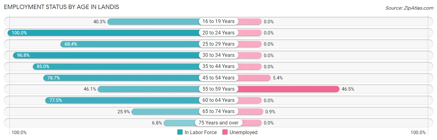 Employment Status by Age in Landis