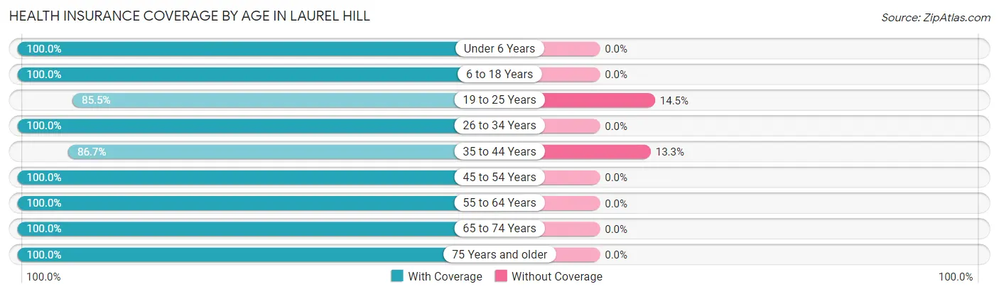 Health Insurance Coverage by Age in Laurel Hill