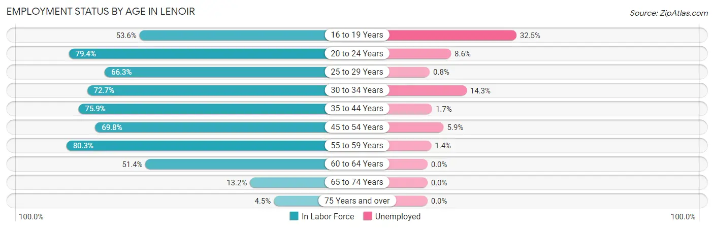 Employment Status by Age in Lenoir