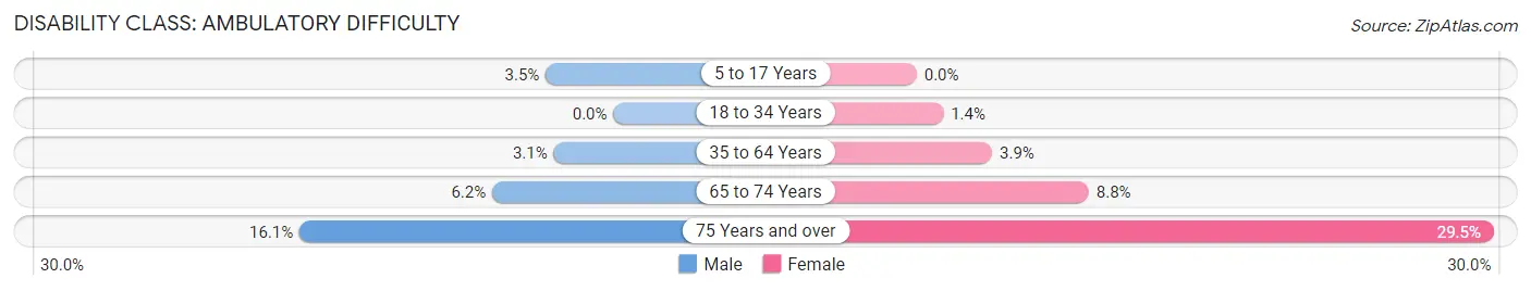 Disability in Lewisville: <span>Ambulatory Difficulty</span>