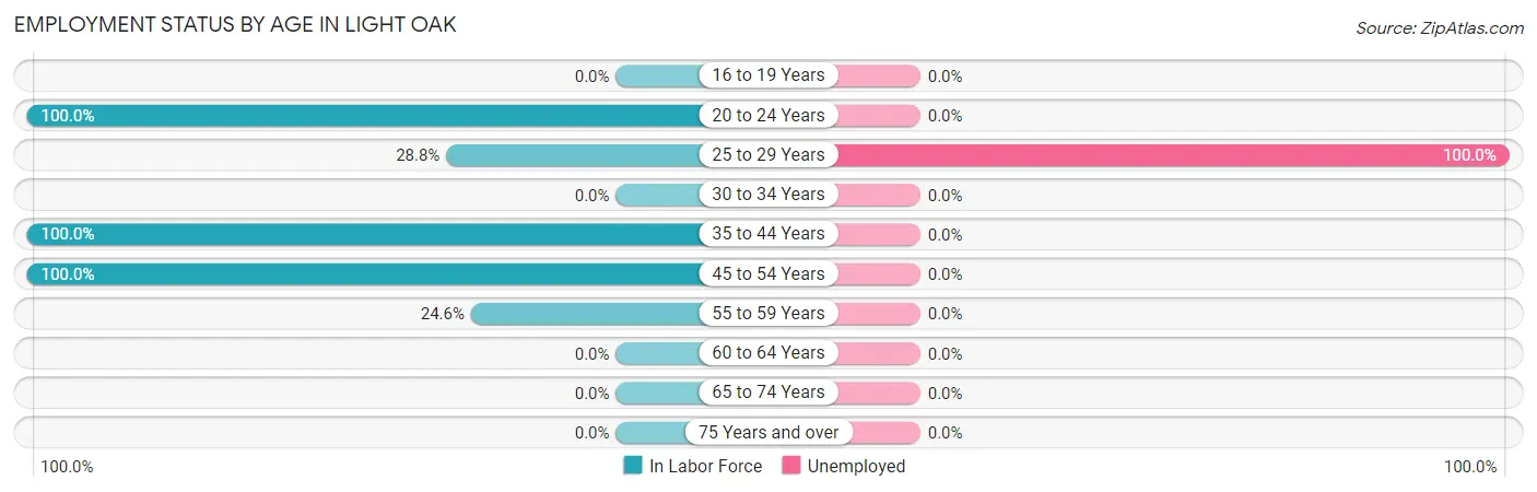 Employment Status by Age in Light Oak