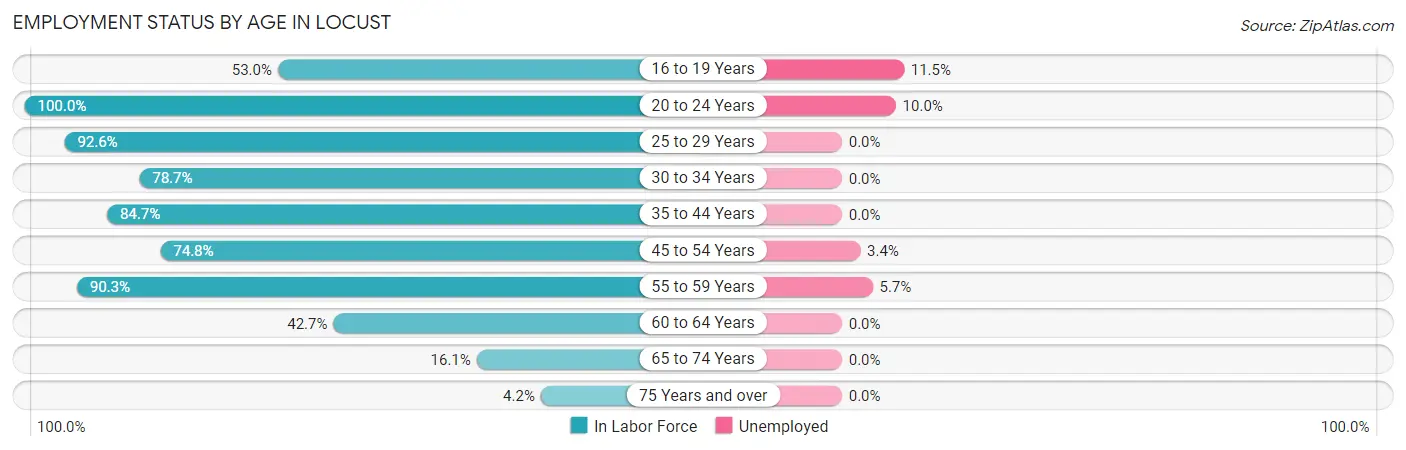 Employment Status by Age in Locust