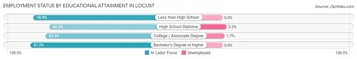 Employment Status by Educational Attainment in Locust