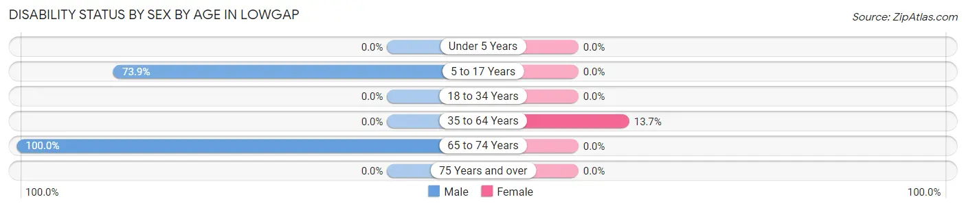 Disability Status by Sex by Age in Lowgap