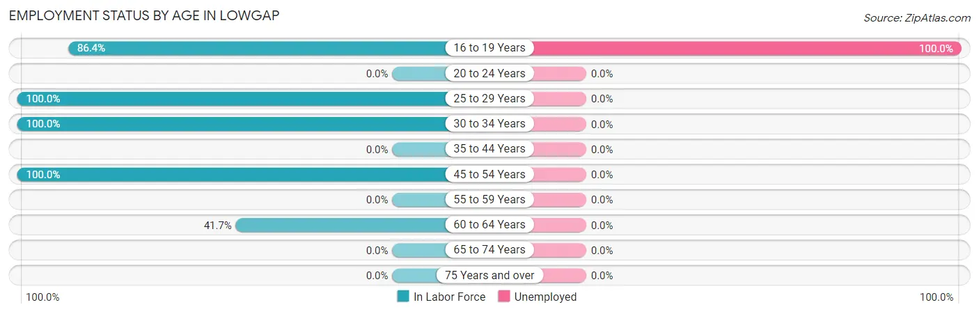 Employment Status by Age in Lowgap