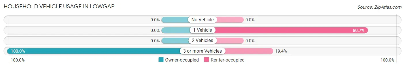 Household Vehicle Usage in Lowgap