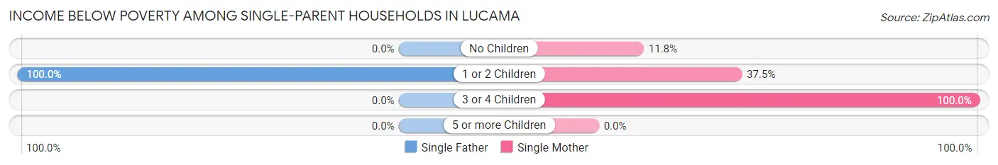 Income Below Poverty Among Single-Parent Households in Lucama