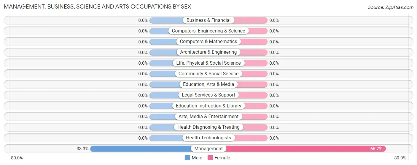 Management, Business, Science and Arts Occupations by Sex in Lumber Bridge