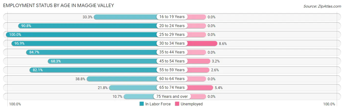 Employment Status by Age in Maggie Valley