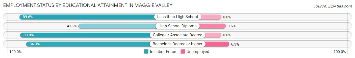 Employment Status by Educational Attainment in Maggie Valley