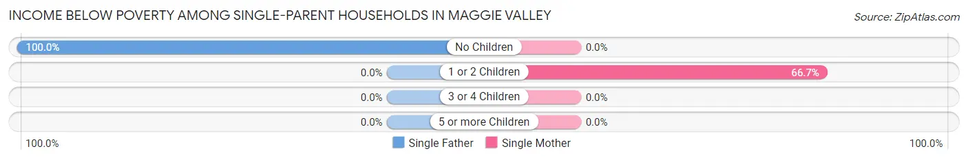 Income Below Poverty Among Single-Parent Households in Maggie Valley
