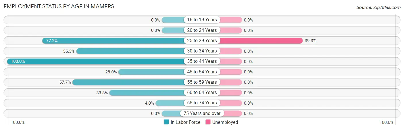 Employment Status by Age in Mamers