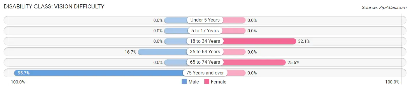 Disability in Mamers: <span>Vision Difficulty</span>