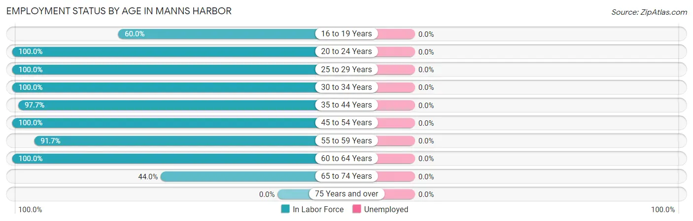 Employment Status by Age in Manns Harbor