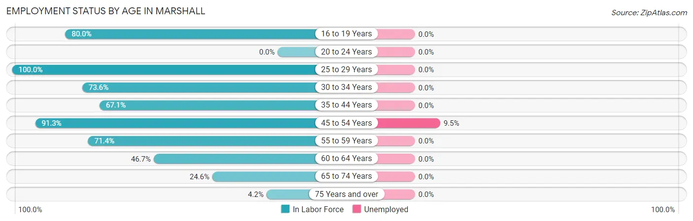 Employment Status by Age in Marshall