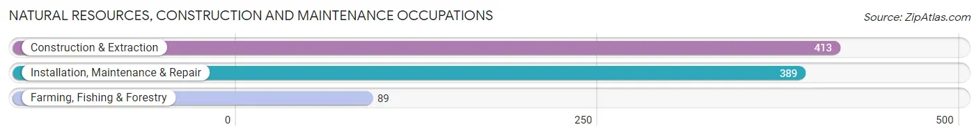 Natural Resources, Construction and Maintenance Occupations in Matthews