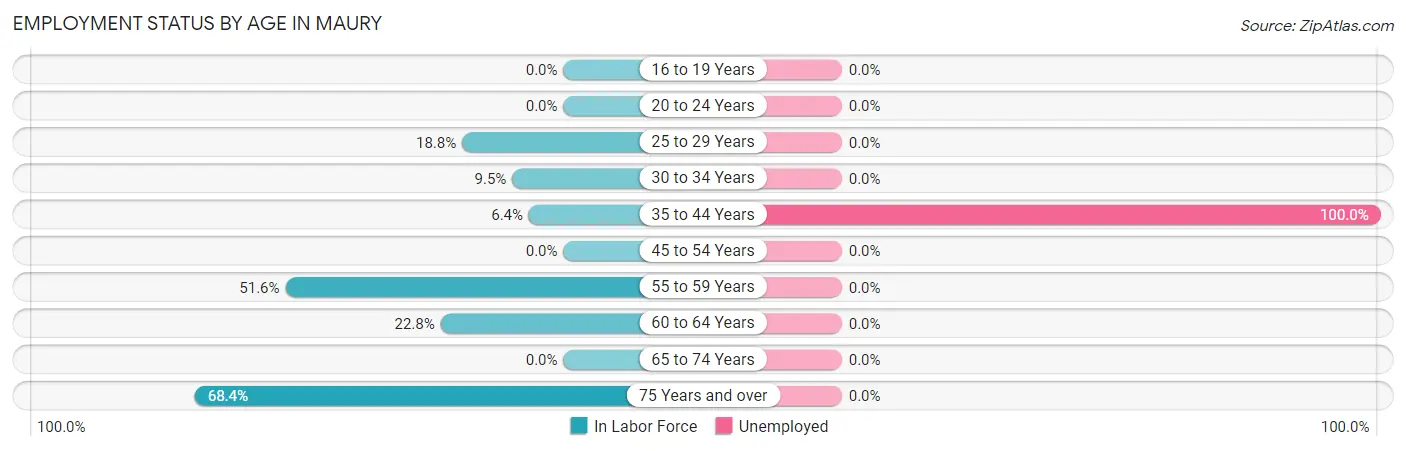 Employment Status by Age in Maury
