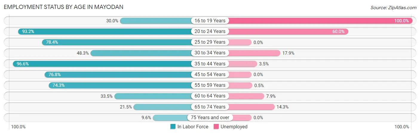 Employment Status by Age in Mayodan