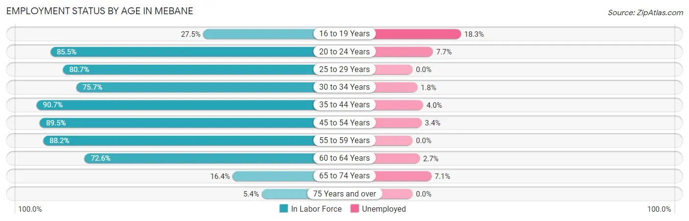 Employment Status by Age in Mebane