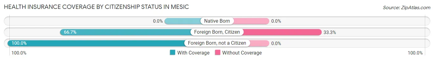 Health Insurance Coverage by Citizenship Status in Mesic