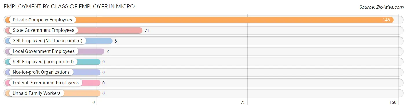 Employment by Class of Employer in Micro