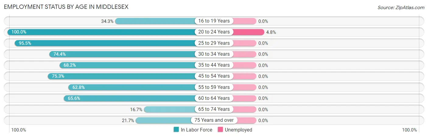 Employment Status by Age in Middlesex